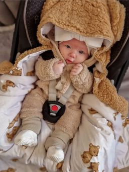 Car seat cover with bear ears, Bears