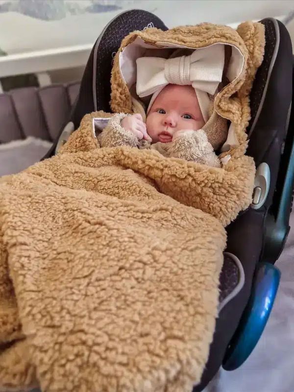 Car seat cover with bear ears, Bears